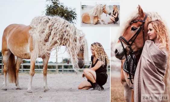 В Интернете нашли лошадь, похожую на диснеевскую принцессу