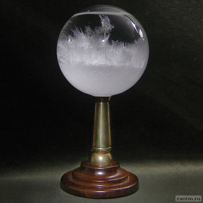 hms-beagle-admirals-storm-glass-mysterious-weather-forecasting-instrument-xl.jpg