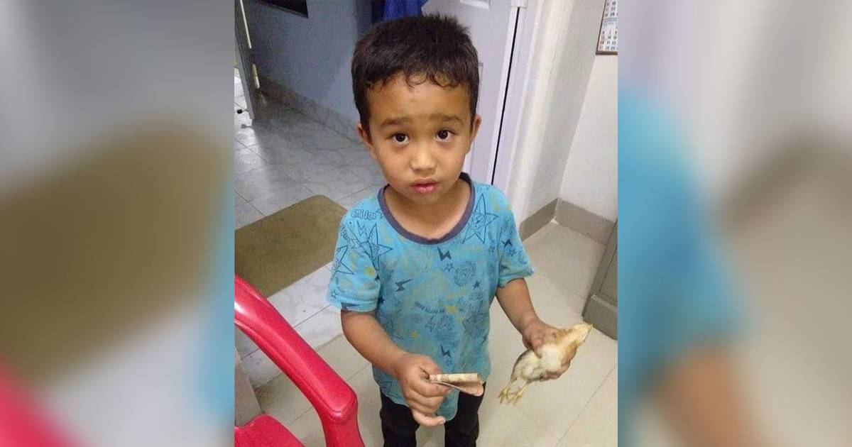 Малыш сбил на велосипеде цыплёнка и отнёс его в больницу, умоляя врачей о помощи
