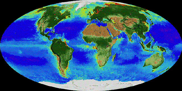 Карты Земли, которых вы еще не видели