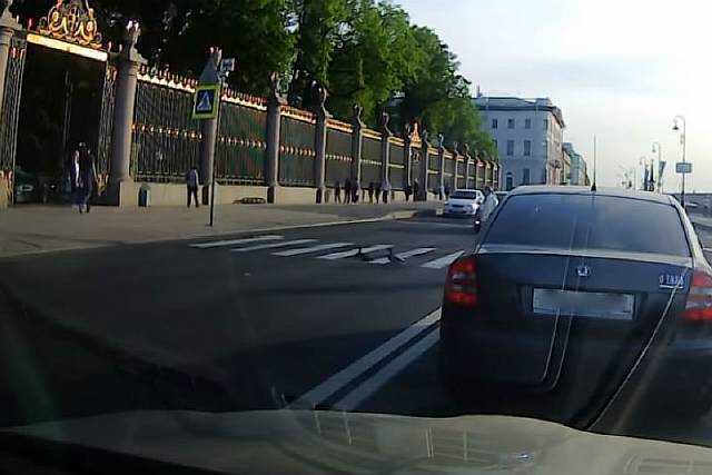 Утки из Петербурга показали, как правильно переходить дорогу