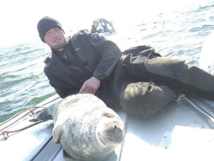 Под Калининградом тюленёнок забрался в лодку к ныряльщикам
