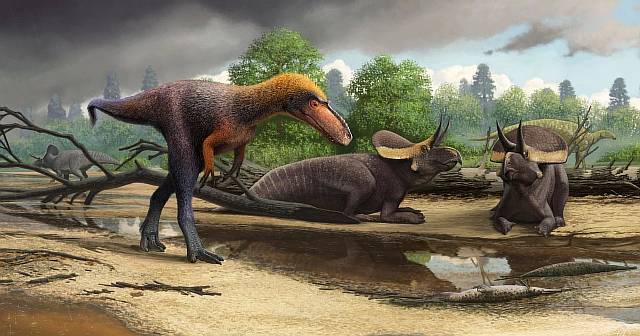 Описан новый вид динозавров | Журнал Популярная Механика