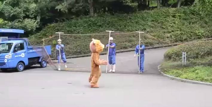 Учения зоопарка в Японии по ловле льва рассмешили людей и удивили хищников